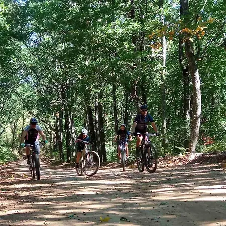 Aether 네아 로다