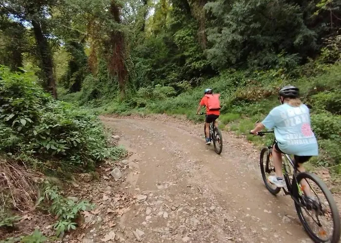 Daire Aether Nea Roda